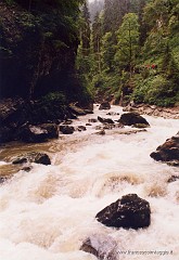 106.jpg  106